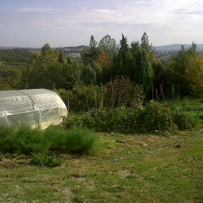 Il Cigliere your holiday home in the heart of Tuscany - Casa Vacanze - 23