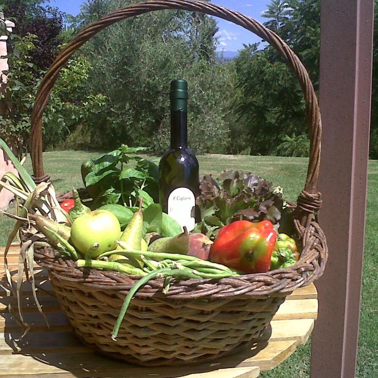Il Cigliere your holiday home in the heart of Tuscany - Casa Vacanze - 27