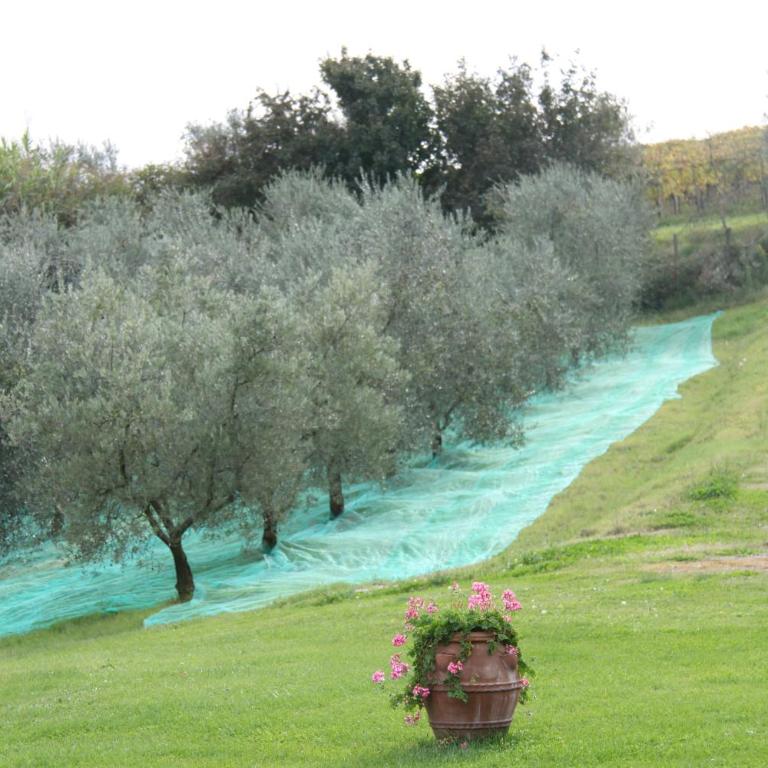 Il Cigliere your holiday home in the heart of Tuscany - Casa Vacanze - 30