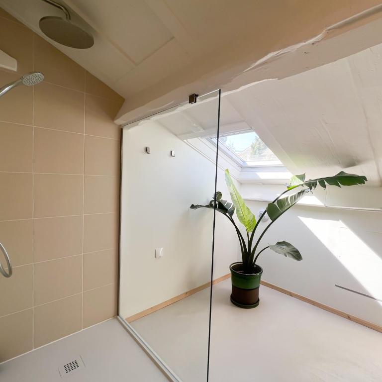 Casaviel - Chambre Double - 8