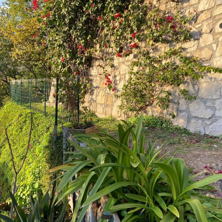 Villa panoramique vue mer et jardin-6 personnes-Menton - Villa 3 Chambres - 29