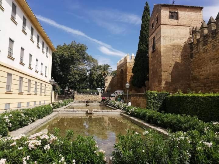 PATIO DE LA MURALLA APARTAMENTOS - Apartamento - 34
