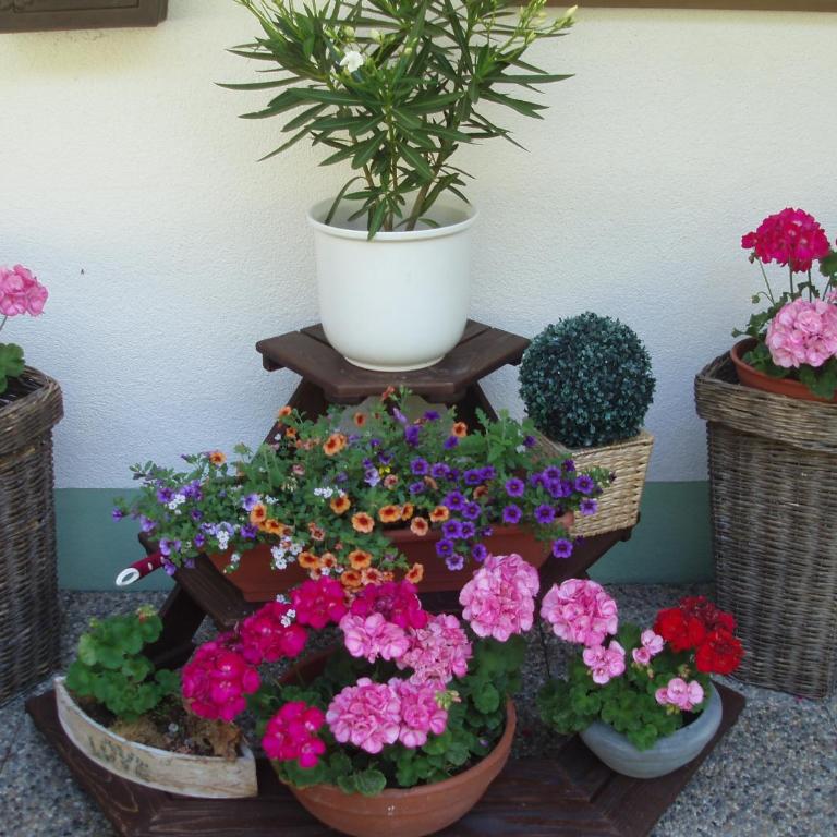 Ferienwohnung Nancy - Apartment mit 2 Schlafzimmern und Balkon - 16