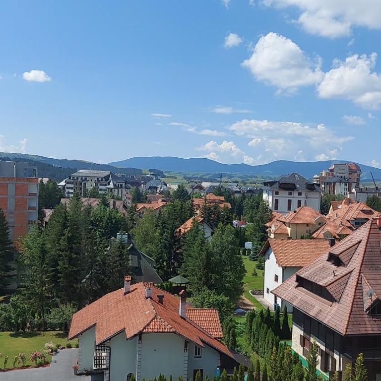 Vizija Zlatibor - One-Bedroom Apartment - 5