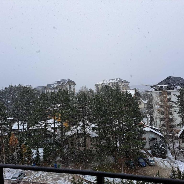 Vizija Zlatibor - One-Bedroom Apartment - 40