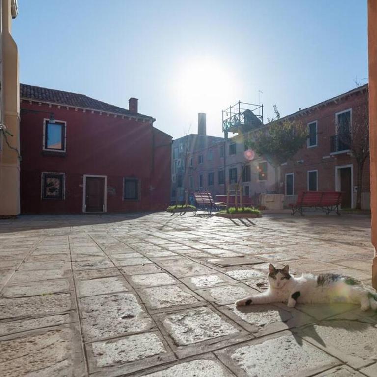 Ca' Ferrando, brand new apartment, experienced host! - Two-Bedroom Apartment - 34