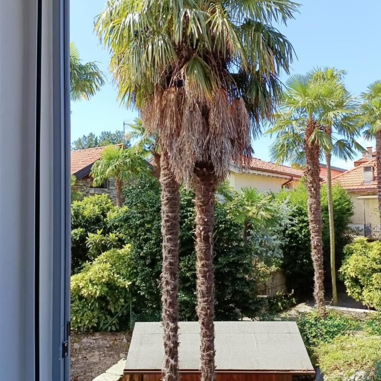 Tranquil Heaven Antoliva - Appartamento con 1 Camera da Letto - 15