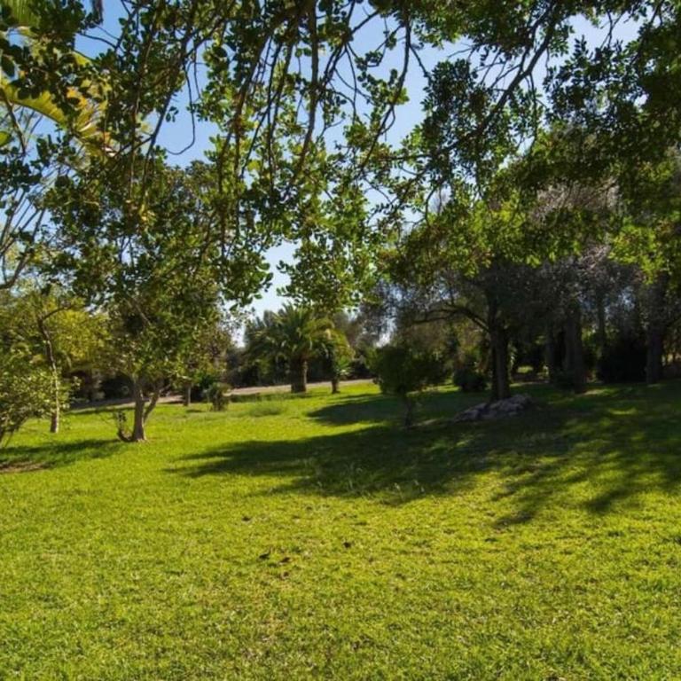 Son Simo D'alt - Villa con piscina privada - 58