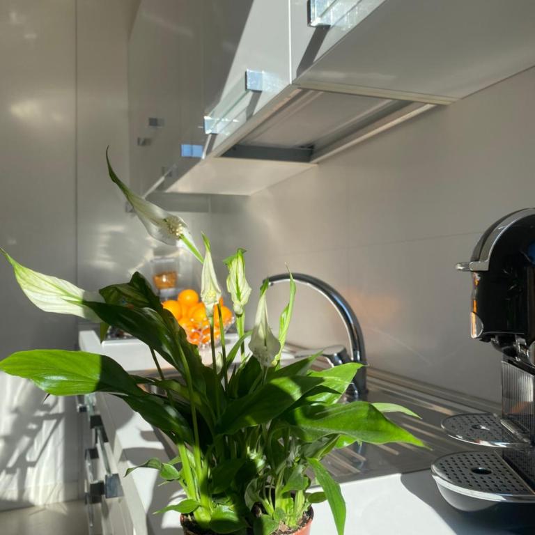 Labanca's Luxury center - Two-Bedroom House - 29