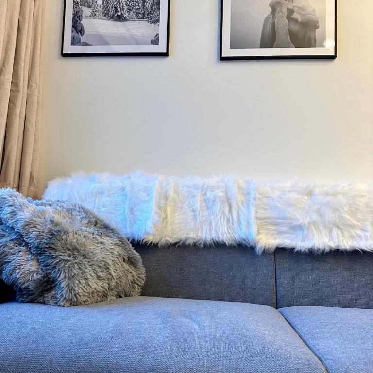 Ecrin Alpin hyper centre d'Auron - Appartement 2 Chambres - 27