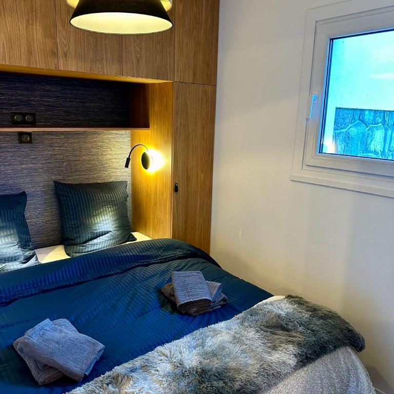 Ecrin Alpin hyper centre d'Auron - Appartement 2 Chambres - 25