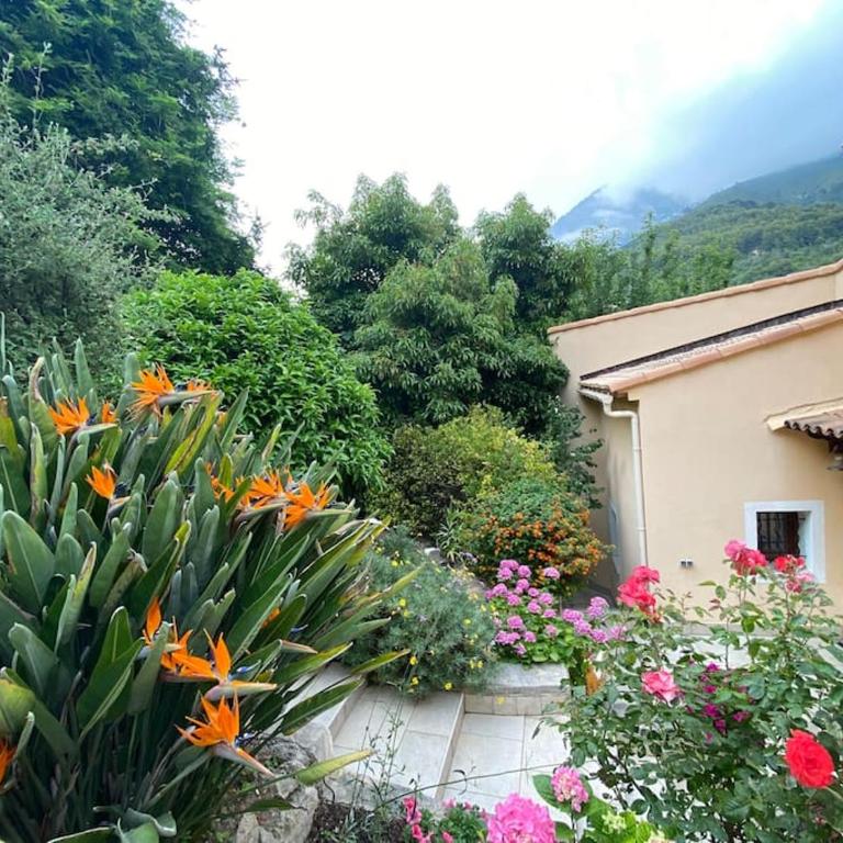 Villa Maracudja 125 m² - Maison 2 Chambres - 16