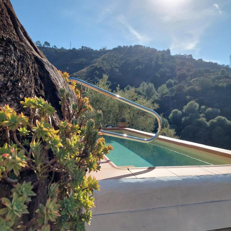 Susurros de Montaña - Villa de 1 dormitorio - 13