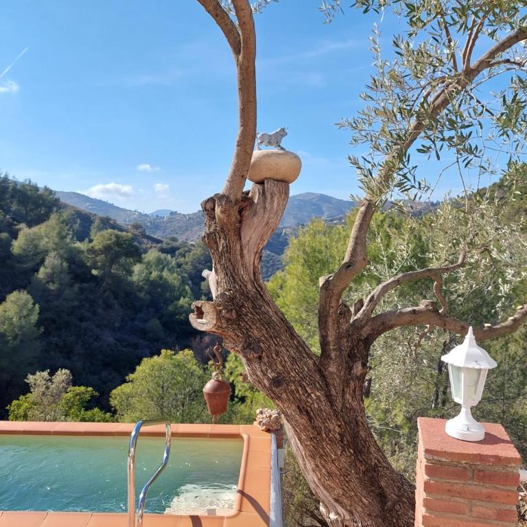 Susurros de Montaña - Villa de 1 dormitorio - 10