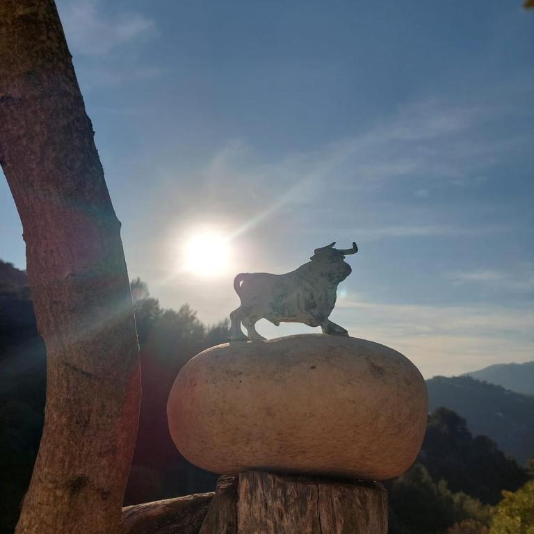 Susurros de Montaña - Villa de 1 dormitorio - 11
