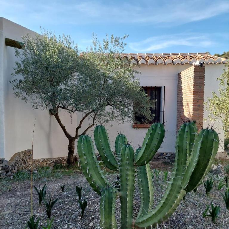 Susurros de Montaña - Villa de 1 dormitorio - 46