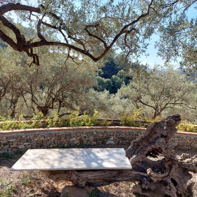 Susurros de Montaña - Villa de 1 dormitorio - 45