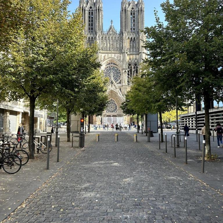 Le Grand Rockefeller Parvis de la Cathédrale de Reims - Appartement 3 Chambres - 15