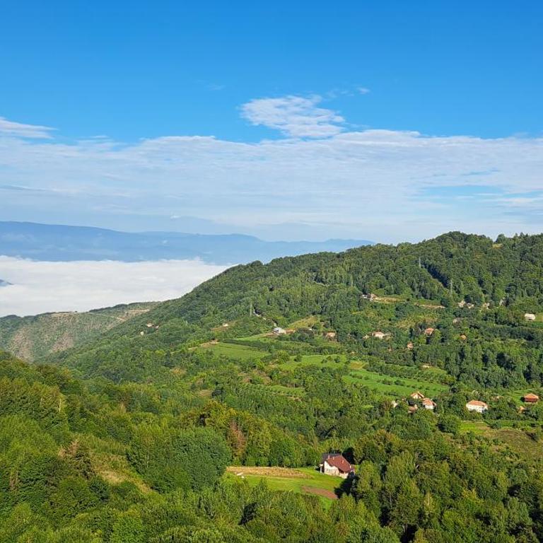 TopView Milmari N87 - Apartman sa 1 Spavaćom Sobom - 4