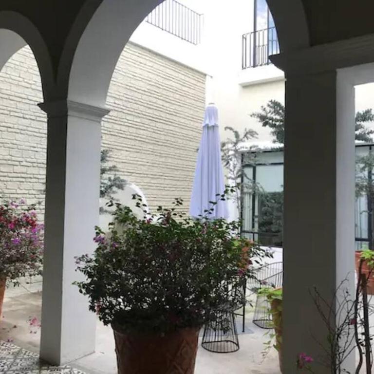Casa Monarcas - Diana (with AC) - One-Bedroom Apartment - 11