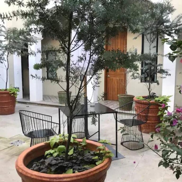 Casa Monarcas - Diana (with AC) - One-Bedroom Apartment - 14