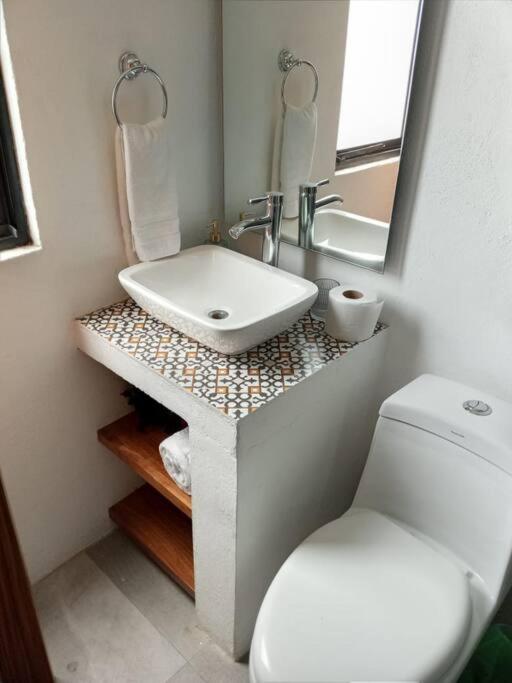 Casa Monarcas - Diana (with AC) - One-Bedroom Apartment - 21