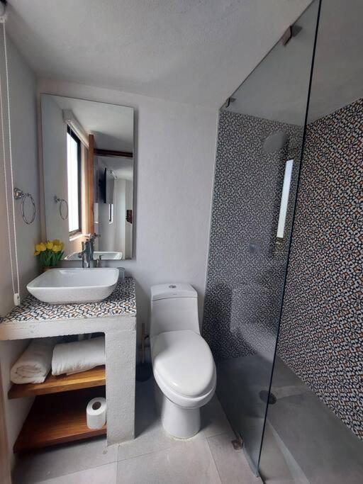 Casa Monarcas - Diana (with AC) - One-Bedroom Apartment - 24