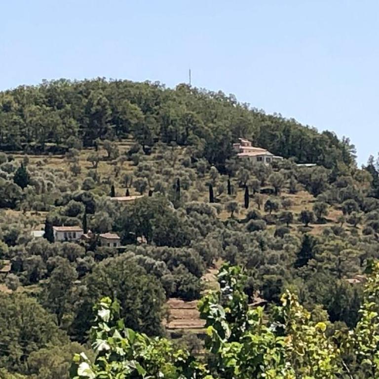 Domaine Ousta Baio - Villa - 13