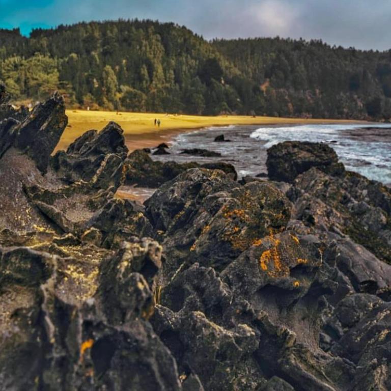 Cabañas del Valle Pudá - Casa de 2 dormitorios - 26