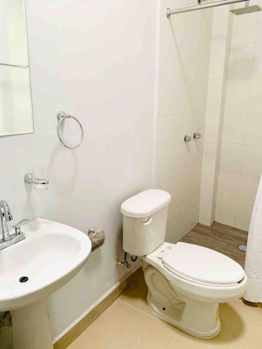 Loft hermoso con estacionamiento gratuito - One-Bedroom Apartment - 14
