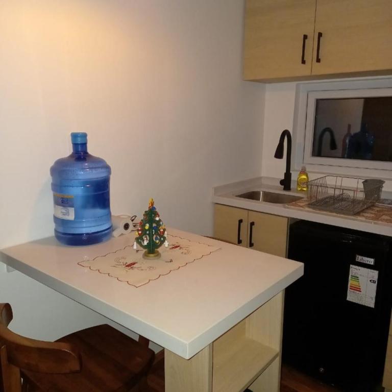 Cabañas Campestres Altos de Leñadura Punta Arenas - One-Bedroom Apartment - 5