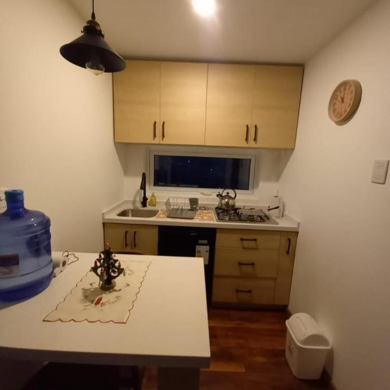Cabañas Campestres Altos de Leñadura Punta Arenas - One-Bedroom Apartment - 6