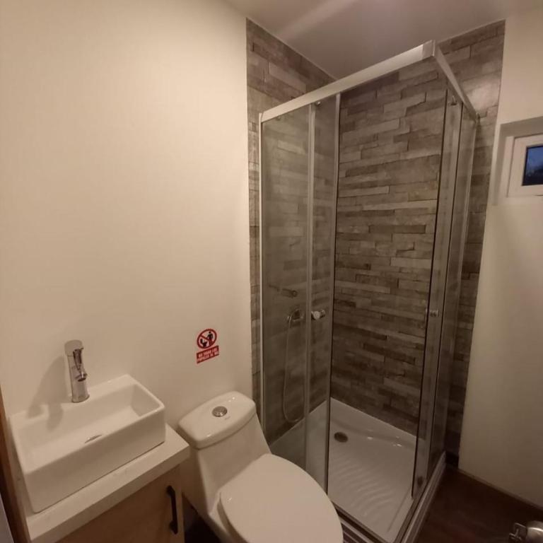 Cabañas Campestres Altos de Leñadura Punta Arenas - One-Bedroom Apartment - 17
