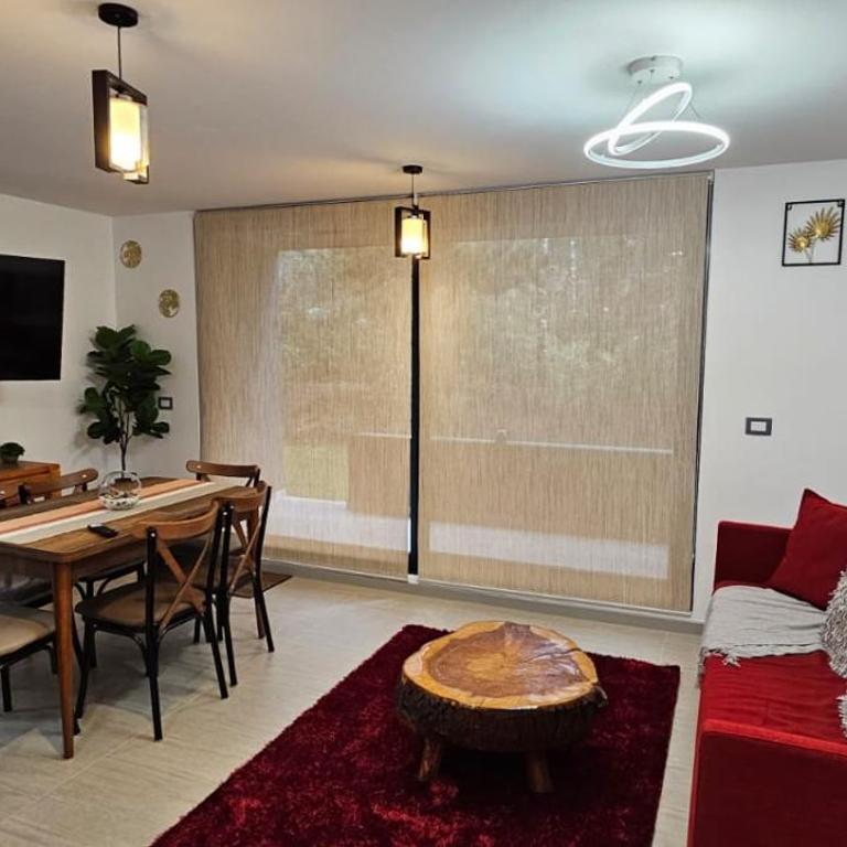 Departamento Pucón Andino - Apartamento de 2 dormitorios - 5