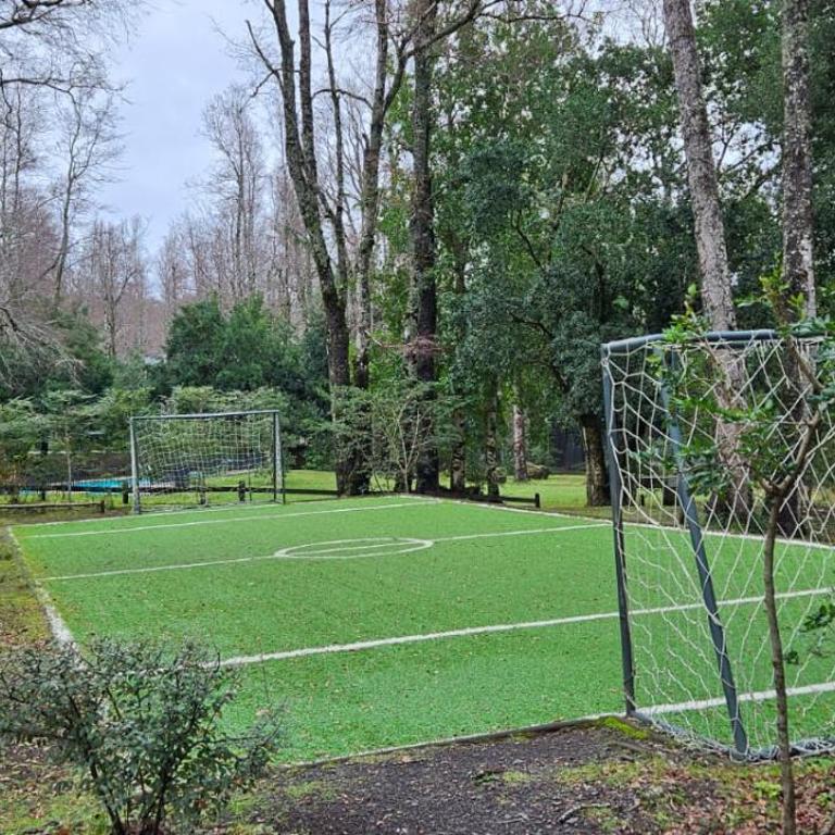 Departamento Pucón Andino - Apartamento de 2 dormitorios - 29