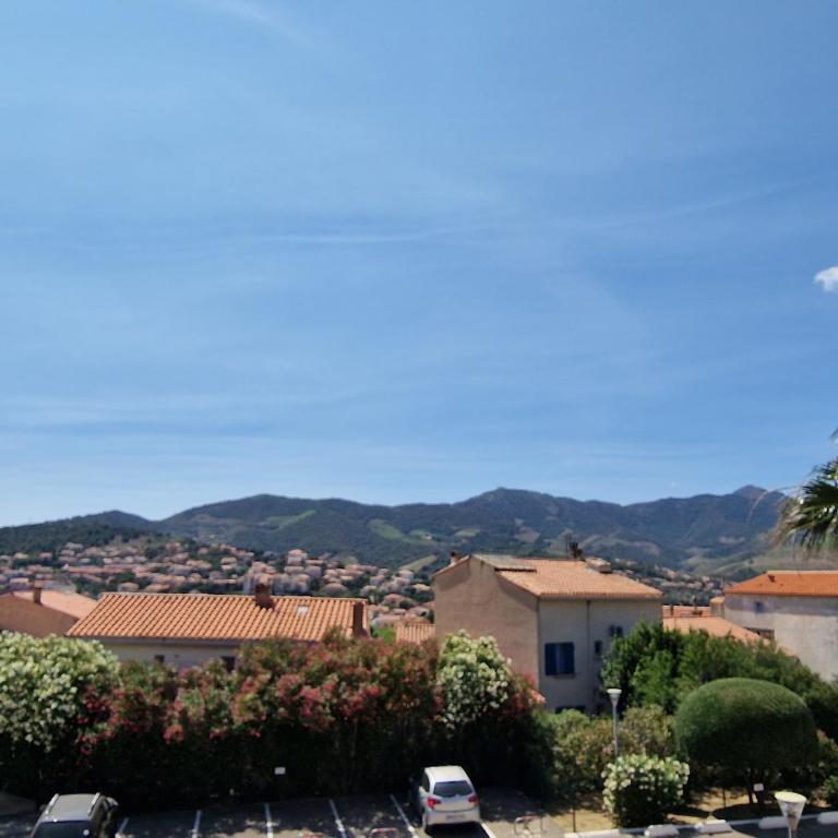 Bel appart T2 à Banyuls avec terrasse et parking privé - FR-1-309-146 - One-Bedroom Apartment - 2