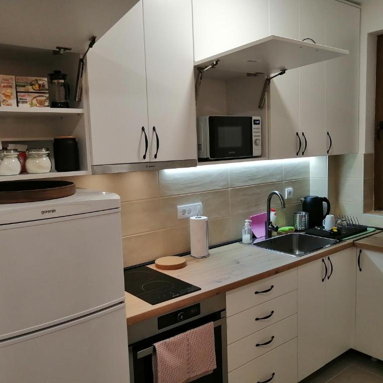 Aries apartman Divčibare - Apartman sa 1 Spavaćom Sobom - 9