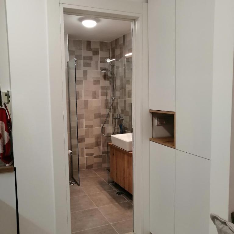 Aries apartman Divčibare - Apartman sa 1 Spavaćom Sobom - 19