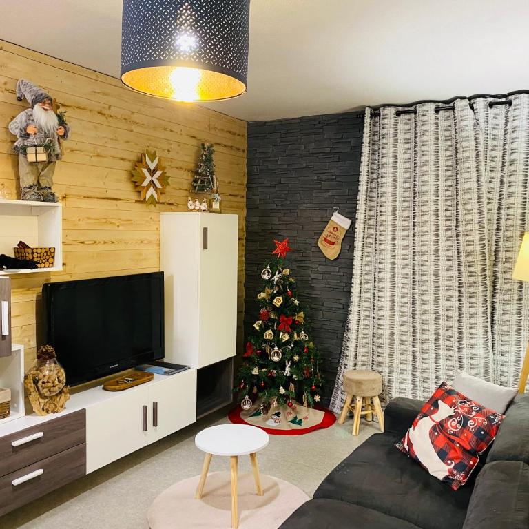 Appartement, vue LAC Panoramique avec Terrasse, Parking, Aux Angles - Apartment with Lake View - 23