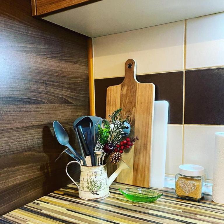 Jolly Kop PetkoSKI Apartman - Apartman sa 1 Spavaćom Sobom - 2