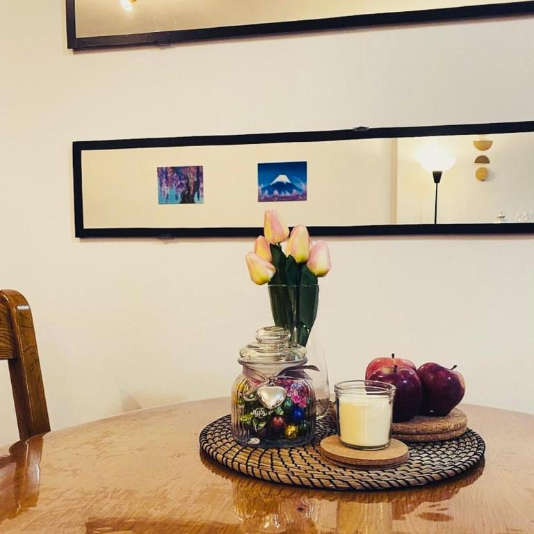 Jolly Kop PetkoSKI Apartman - Apartman sa 1 Spavaćom Sobom - 5
