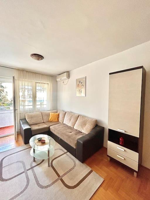 Cozy, charming one bedroom apt - One-Bedroom Apartment - 5