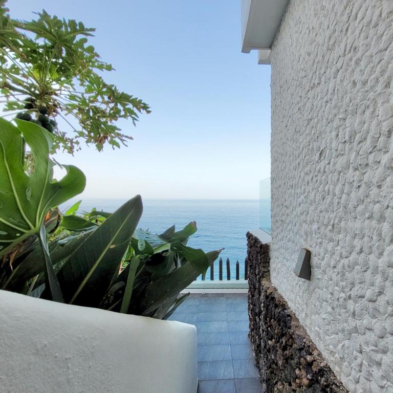 Bellavista Mar - Apartamento de 1 dormitorio - 43