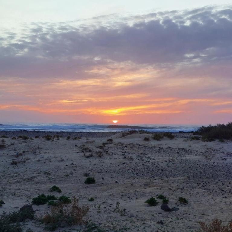 Mint Deluxe Cotillo III by Sea You There Fuerteventura - One-Bedroom Apartment - 48