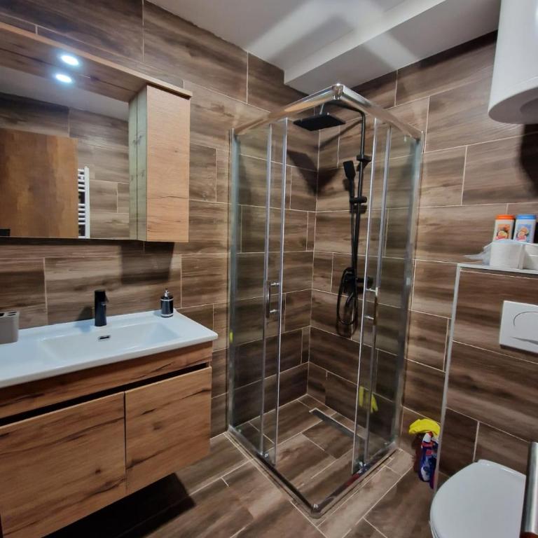 Kopaonik apartment A05 - Apartman sa 1 Spavaćom Sobom - 4