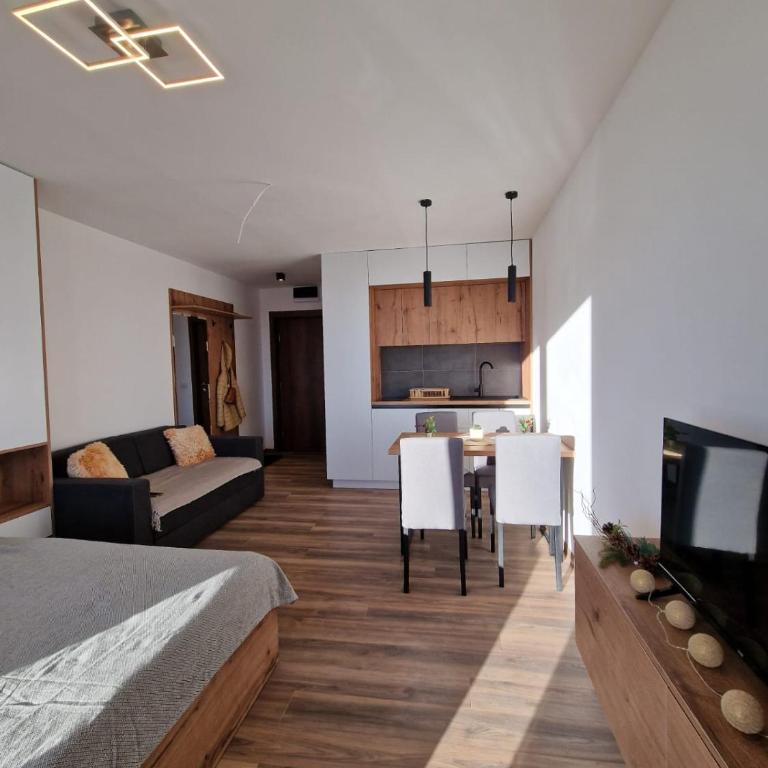 Kopaonik apartment A05 - Apartman sa 1 Spavaćom Sobom - 8
