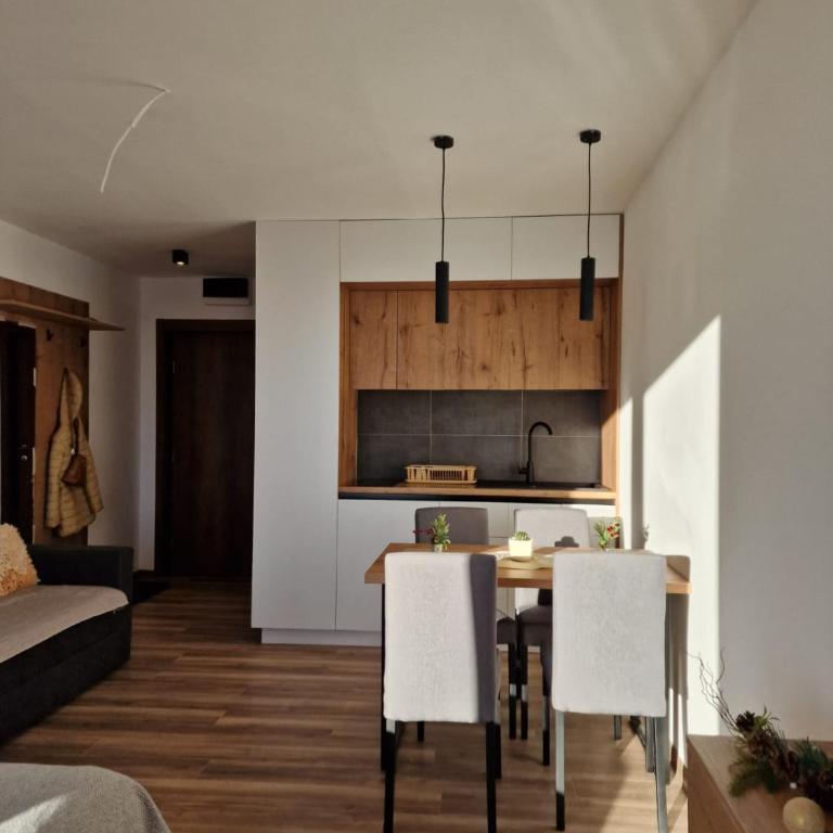 Kopaonik apartment A05 - Apartman sa 1 Spavaćom Sobom - 9