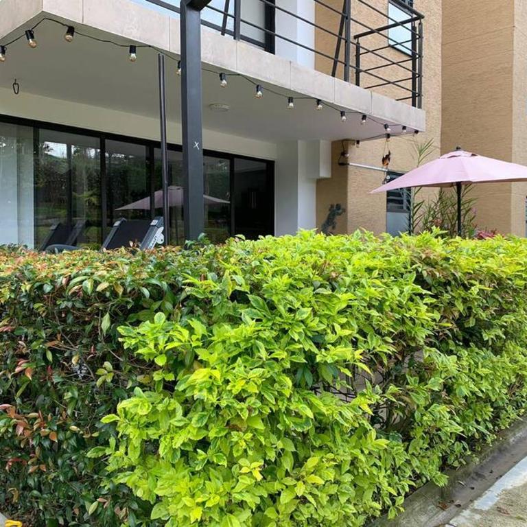 Apartamento Eje Cafetero Parque del Café - Apartamento de 2 dormitorios - 50