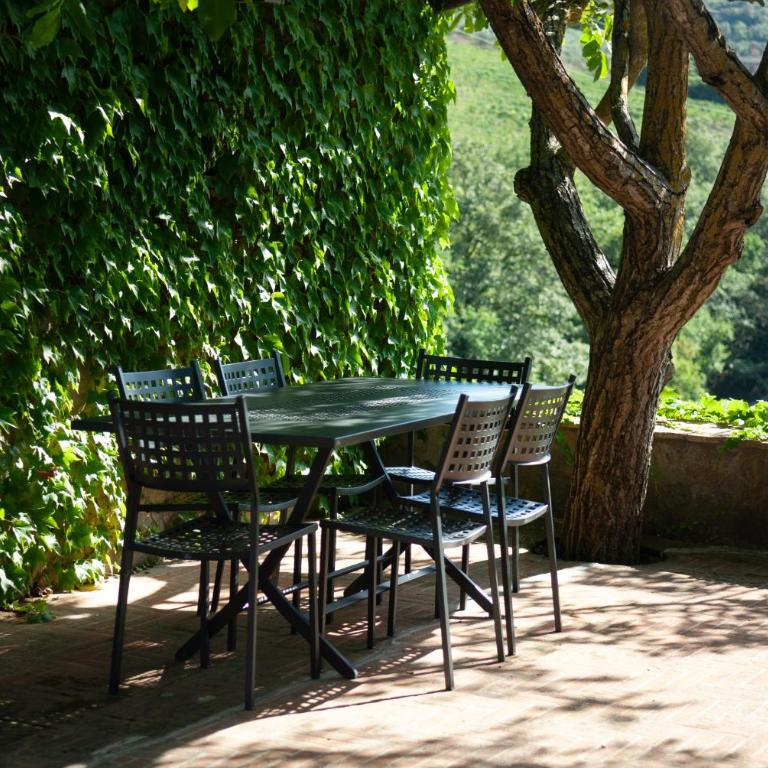 Agriturismo Pertimali - Villa de 3 dormitorios - 10