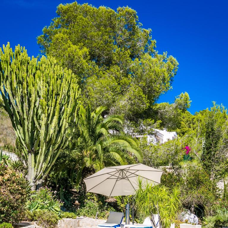 Casa Toscana - Villa de 3 dormitorios - 37
